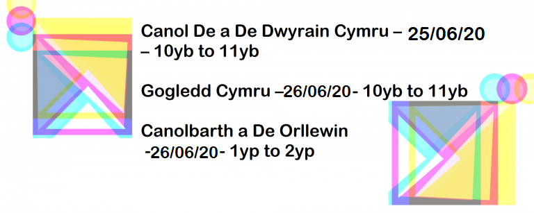 CYFARFODYDD RHANBARTHOL CWVYS