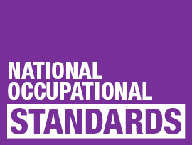 YOUTH WORK NATIONAL OCCUPATIONAL STANDARDS (NOS)