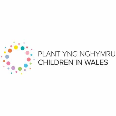 Become Volunteers for the Young Persons Guarantee Youth Advisory Board with Young Wales